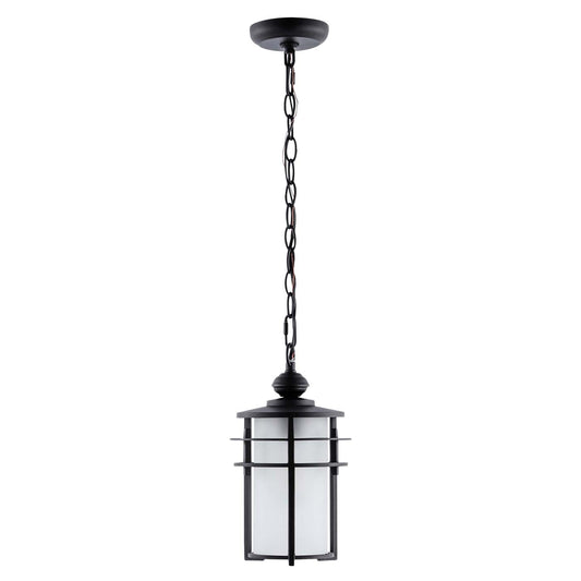 Adisyn Outdoor Pendant | Safavieh - PLT4026